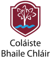 GRETB - Colaiste Bhaile Chláir onboard Skilly to strengthen SPHE/Wellbeing Delivery