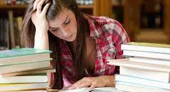 Skilly Blog : Why School Textbooks Don't Work: The Case for Digital Resources to Support the Development of Students soft skills